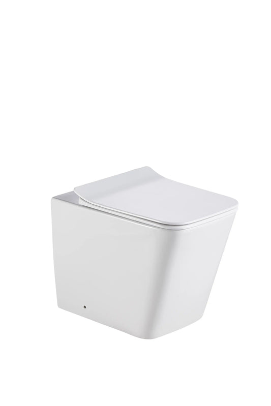 Bristol Rimless Inwall Toilet Floor Pan