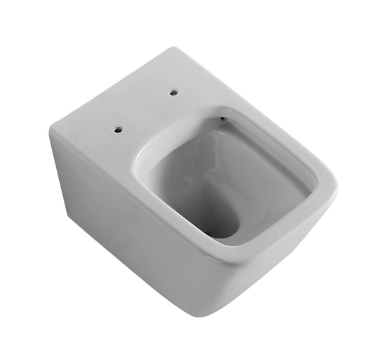 Bristol Rimless Inwall Toilet Wall Hung Pan