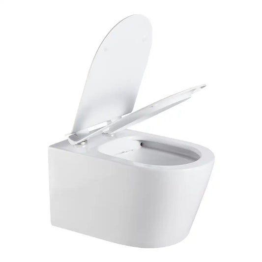 Cotia Rimless Inwall Toilet Wall Hung Pan