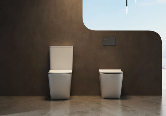 Isla Rimless Inwall Toilet Floor Pan