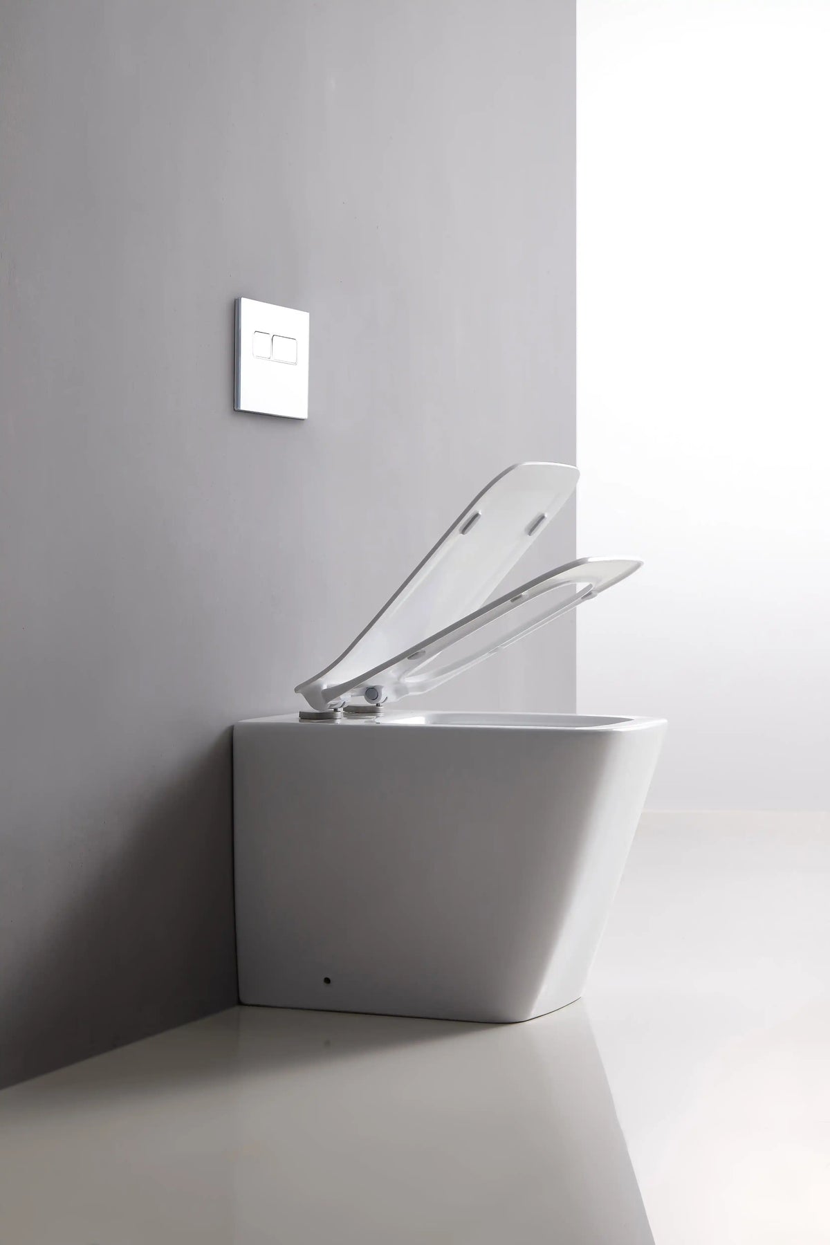 Bristol Rimless Inwall Toilet Floor Pan