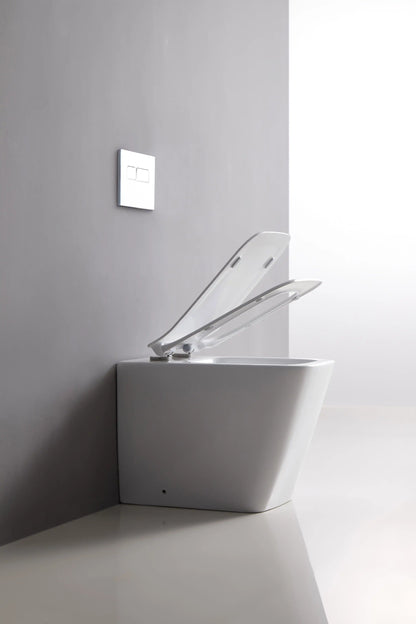 Bristol Rimless Inwall Toilet Floor Pan