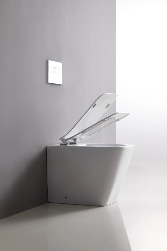 Bristol Rimless Inwall Toilet Floor Pan