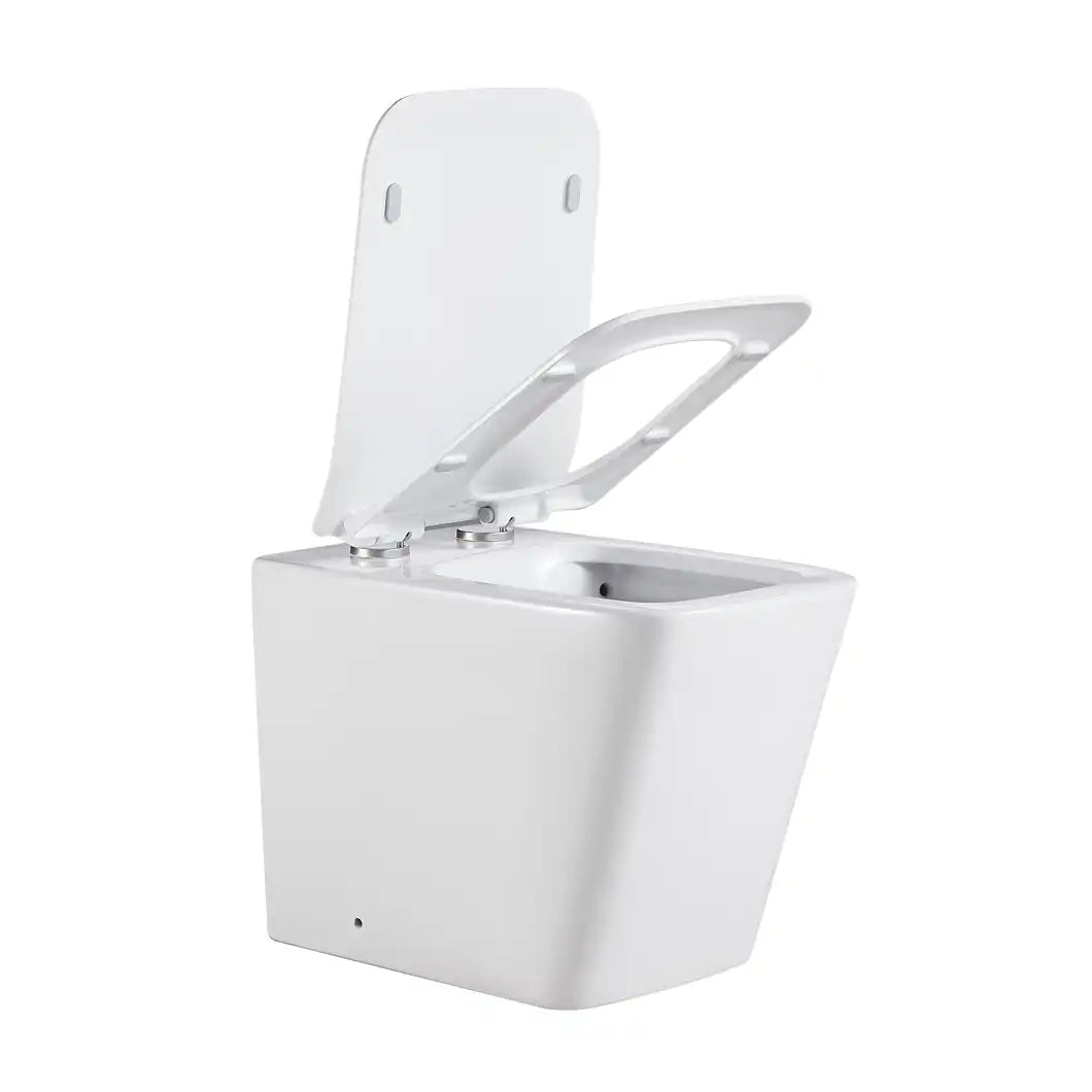 Bristol Rimless Inwall Toilet Floor Pan