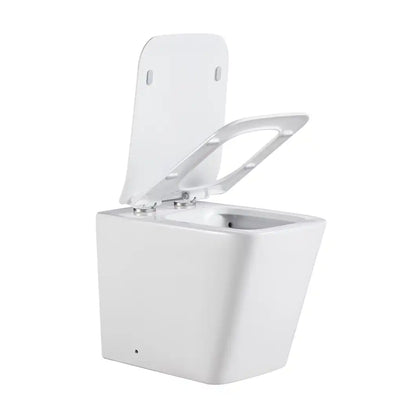Bristol Rimless Inwall Toilet Floor Pan