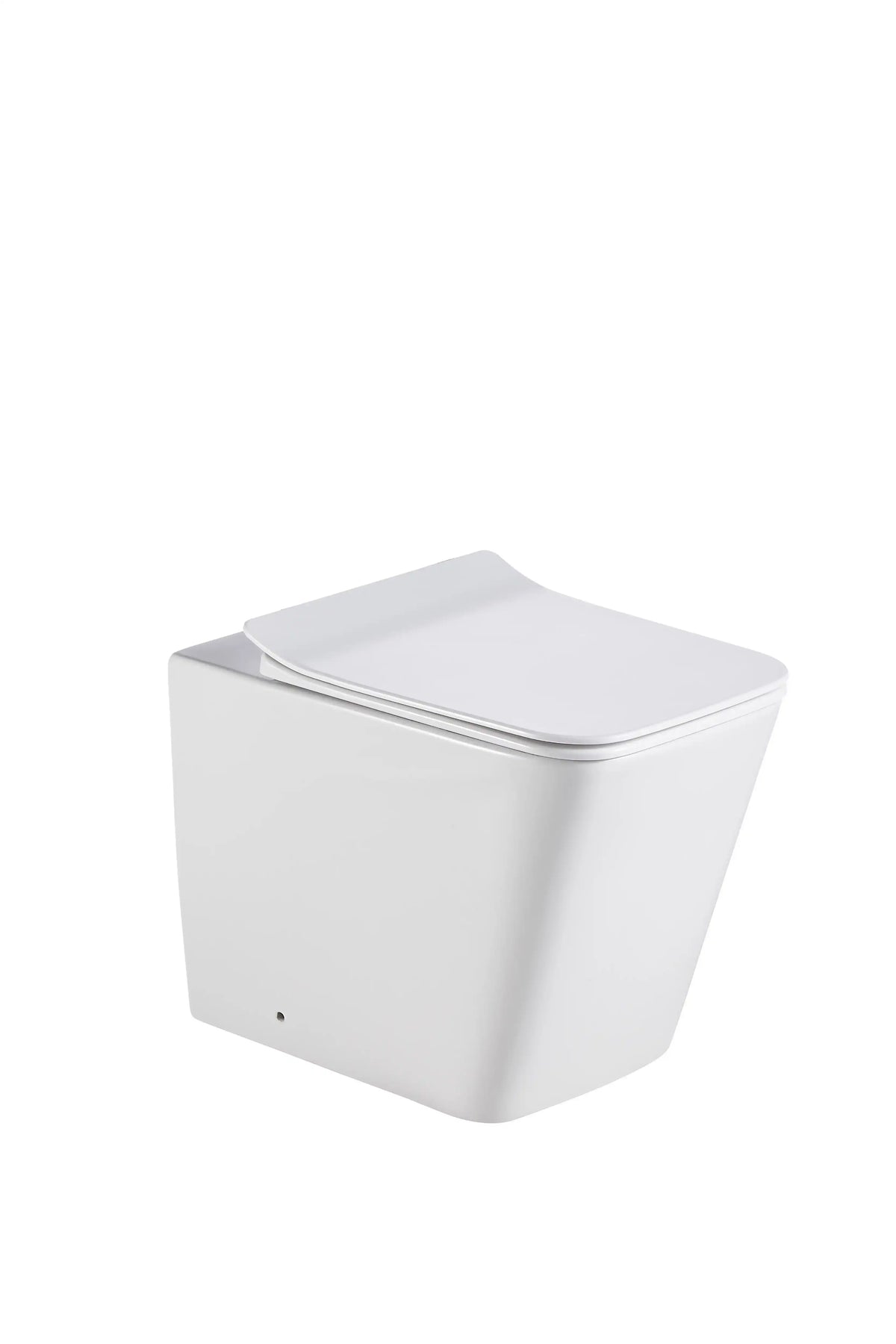 Bristol Rimless Inwall Toilet Floor Pan