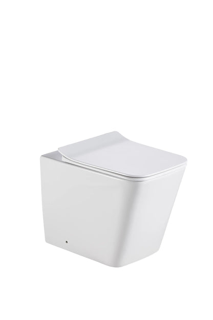 Bristol Rimless Inwall Toilet Floor Pan