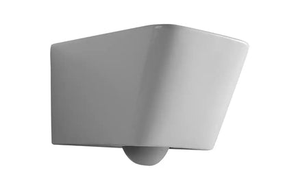 Bristol Rimless Inwall Toilet Wall Hung Pan
