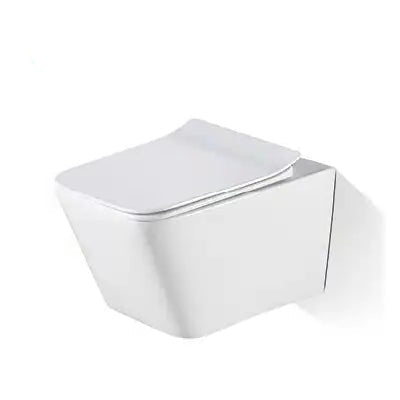 Bristol Rimless Inwall Toilet Wall Hung Pan