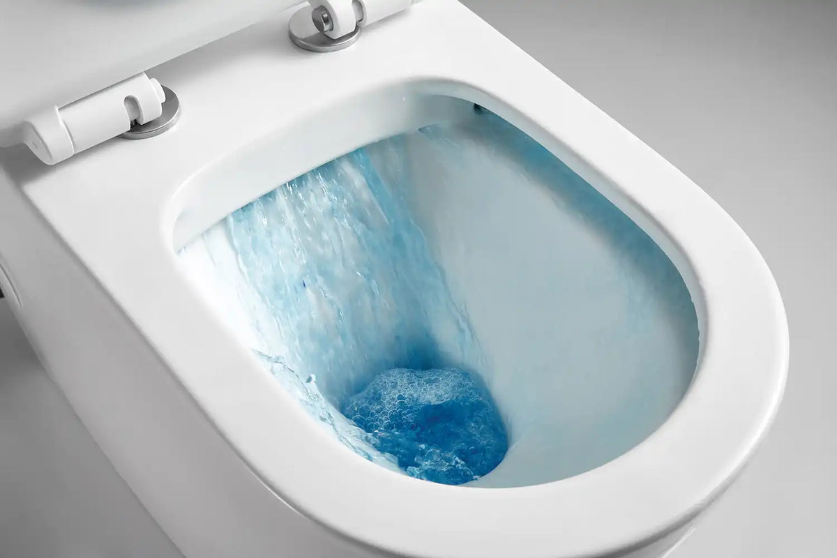 Bristol Rimless Inwall Toilet Floor Pan
