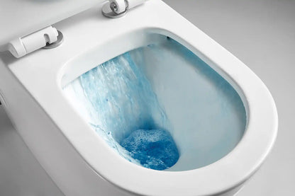 Bristol Rimless Inwall Toilet Wall Hung Pan