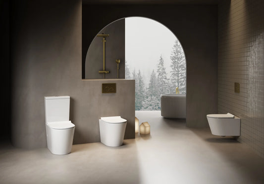Cotia Rimless Back to Wall Toilet Suite