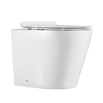 Cotia Rimless Inwall Toilet Floor Pan