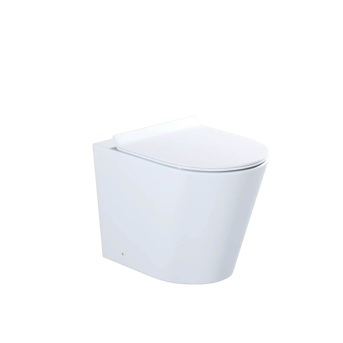Cotia Rimless Inwall Toilet Floor Pan