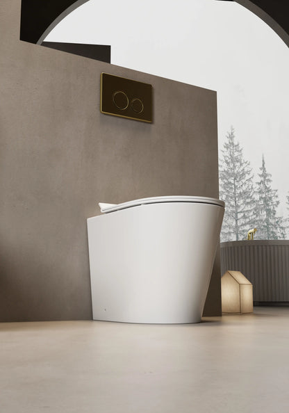 Cotia Rimless Inwall Toilet Floor Pan