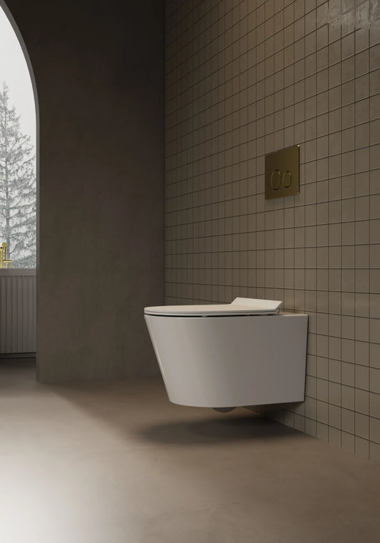 Cotia Rimless Inwall Toilet Wall Hung Pan
