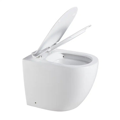Isla Rimless Inwall Toilet Floor Pan