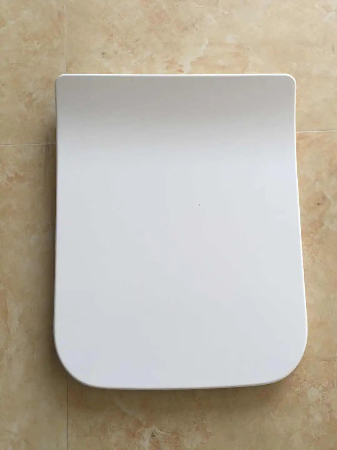 Toilet seat suits Bristol toilet