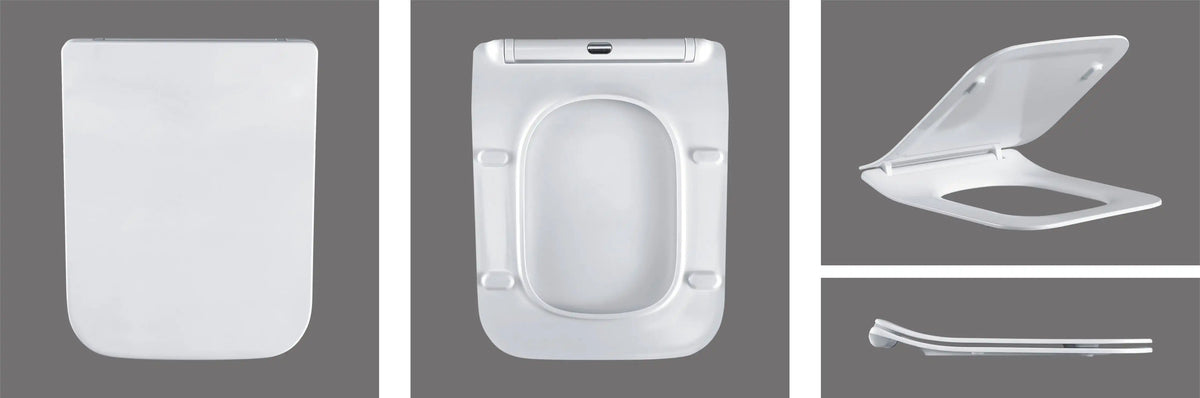 Toilet seat suits Bristol toilet