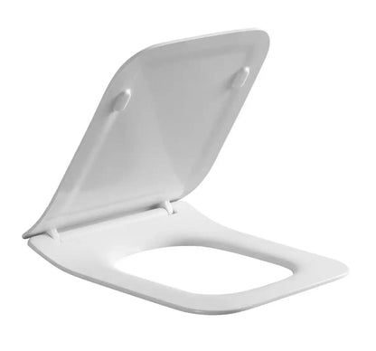 Toilet seat suits Bristol toilet