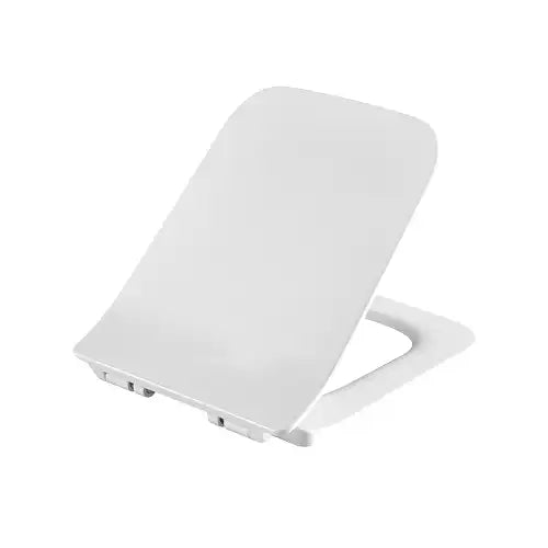 Toilet seat suits Bristol toilet