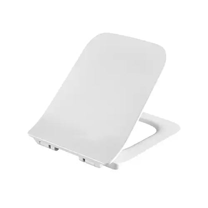 Toilet seat suits Bristol toilet